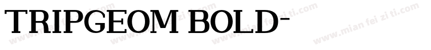 TRIPGEOM BOLD字体转换